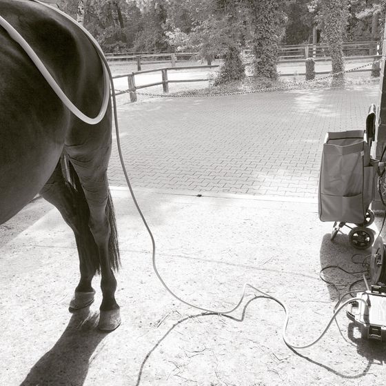 PEMF - Magnetfeldtherapie