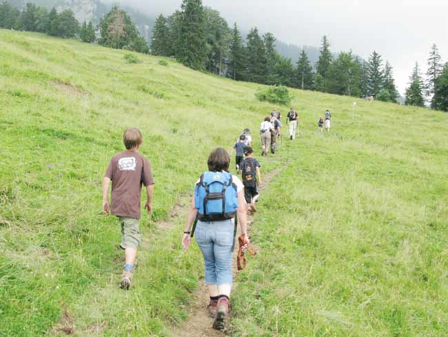 zu den Sommer Aktvitäten Sommerprogramm des Skiclubs Dietmannsriede