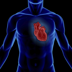 Die Messung der Herzratenvariabilität ist Element der Eingangsdiagnostik der Naturheilpraxis Albat