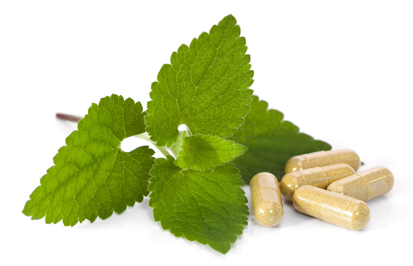 Die Naturheilpraxis Albat bietet eine breite Auswahl an Therapiemöglichkeiten.