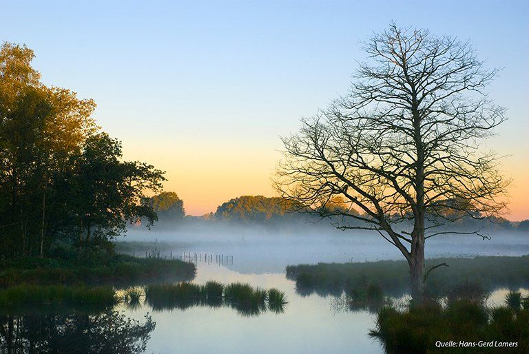 romatischer Nebel mit Abendrot am De Witt See, an der Nettetaler Seenplatte, ca. 3 km von der Fereinwohnung entfernt, unweit der niederlänischen Grenze,