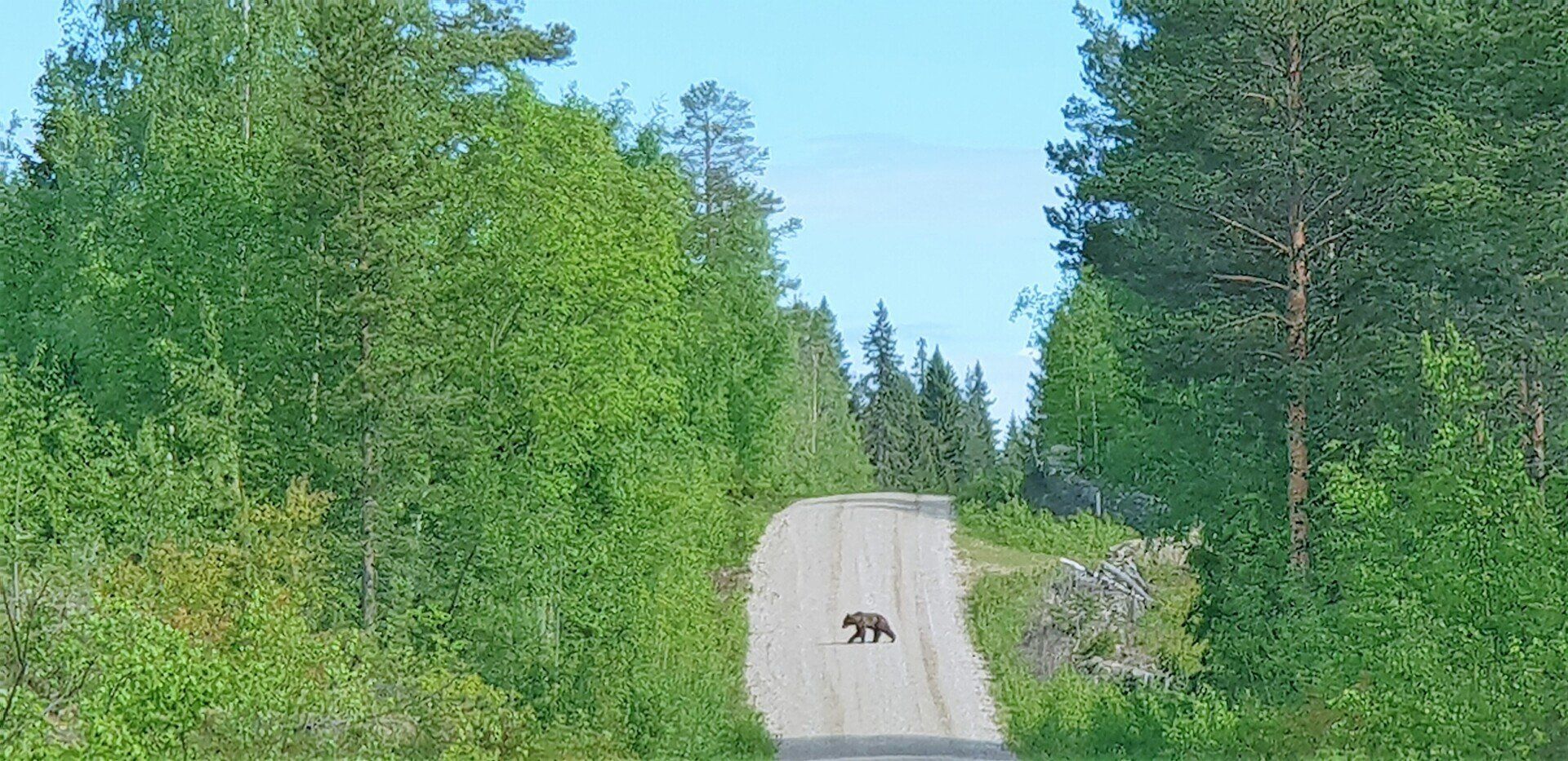 sdfgg fghh fgzuu gzzrf