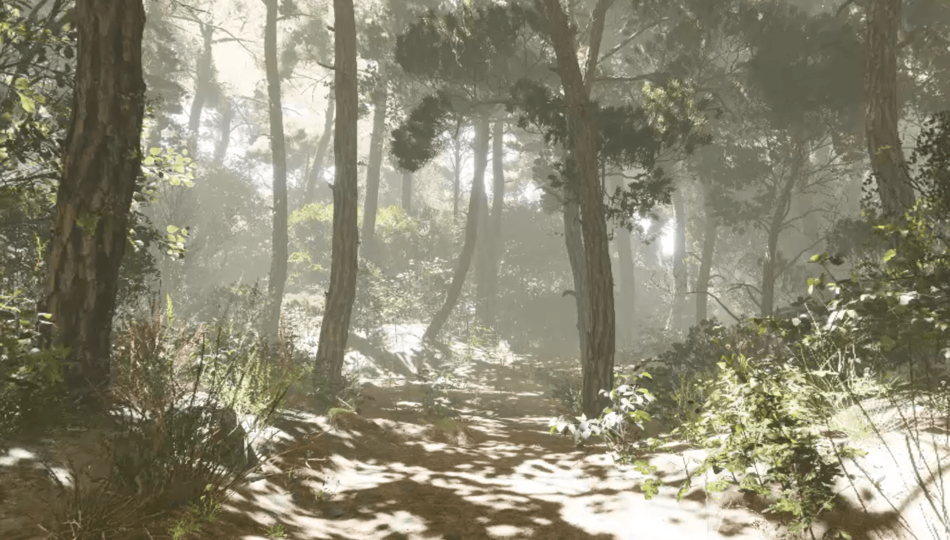 El Bosque. Entorno inmersivo VR.