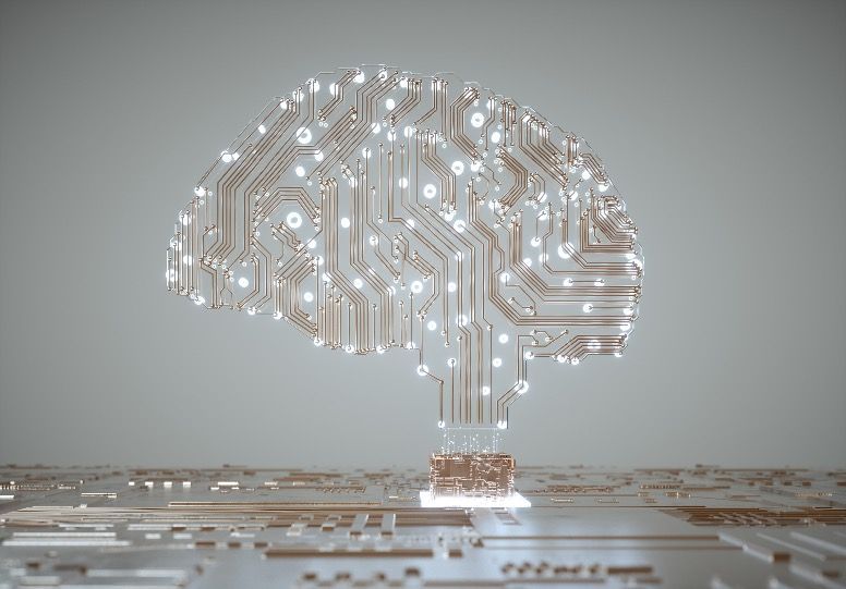Neuroplasticity refers to the brain’s ability to change and reorganise itself by forming new neural