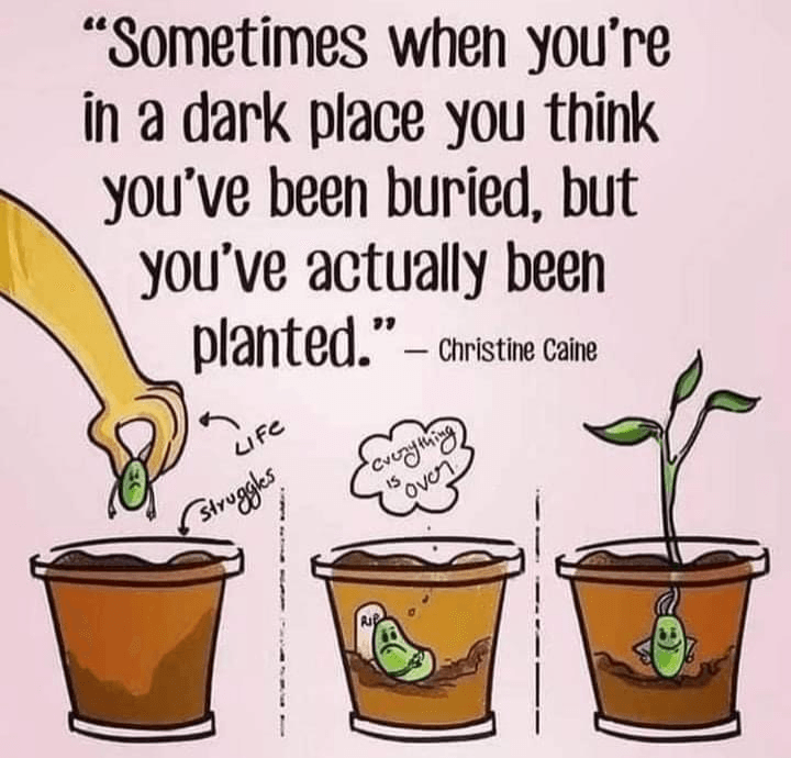 Be a seed, my friend Our Lady of Greens' blog