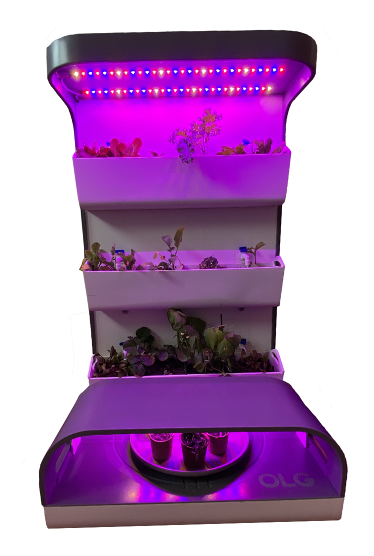 Zen Indoor Food Garden Zen Indoor Food Garden