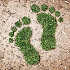 Meditation will help you live a conscious life Our Lady of Greens' blogs