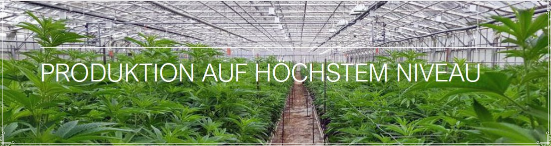 Hanfproduktion-pestizidfrei hanfproduktion,hempmate-cbdöl,hanf,hanföl,hanfoil,hanfprodukte,cannabis,cannabidiol,thc