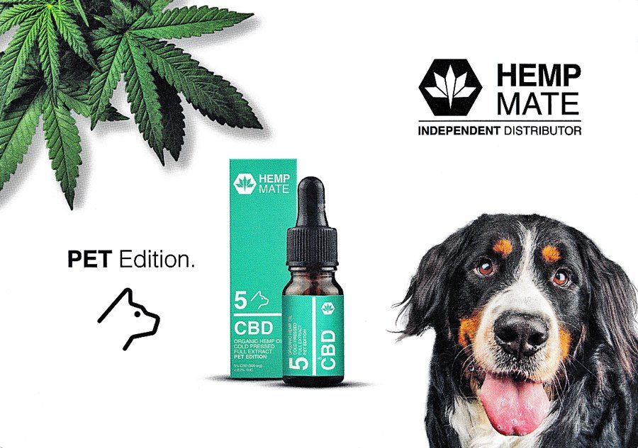 CBD-Öl für Tiere,Hanfprodukte für Tiere alternativmedizin-fuer-tiere,cbd-öl-für-tiere,hanföl-fuer-tiere,