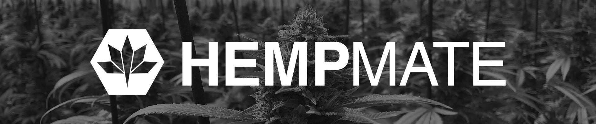 Unternehmen HempMate AG