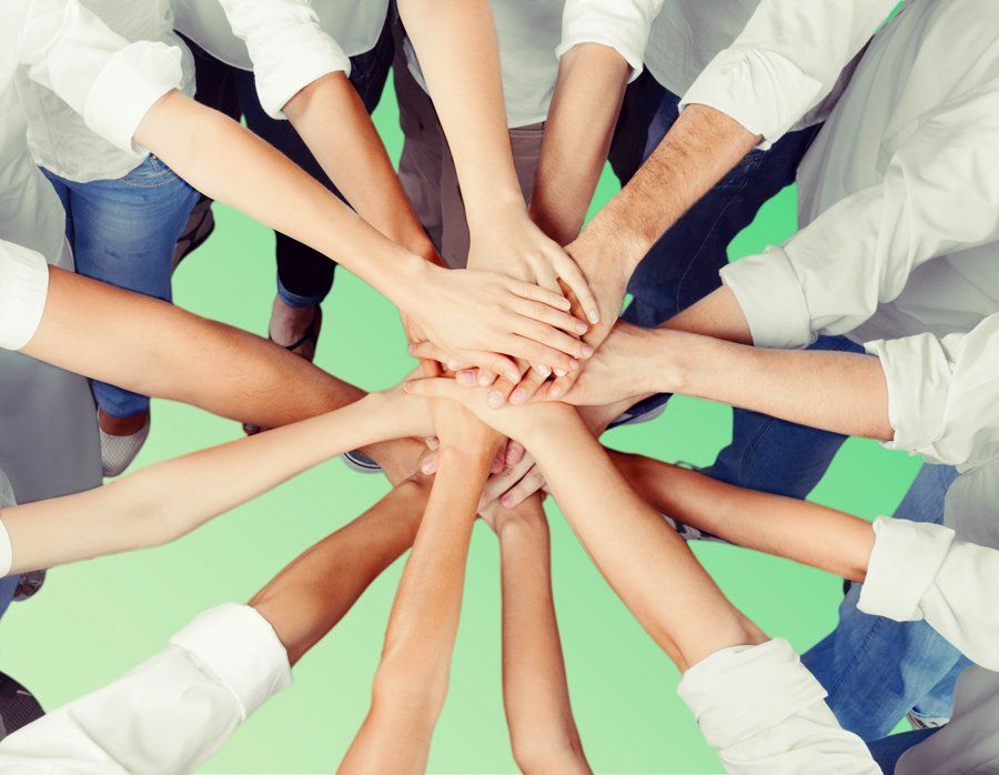 Die Hempmate AG baut eine nie dagewesene Expertise und Produktpalette im Bereich Hanf auf. hempmat-vertriebsteam