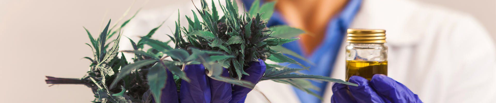 cbd-oil