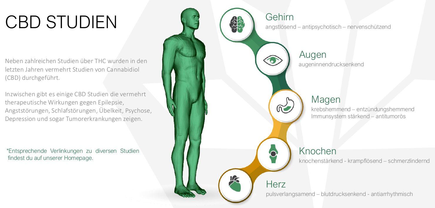 CBD Studien,entsprechende Verlinkungen zu diversen Studien findest du auf der Hompage - Hier klicken cbd studien