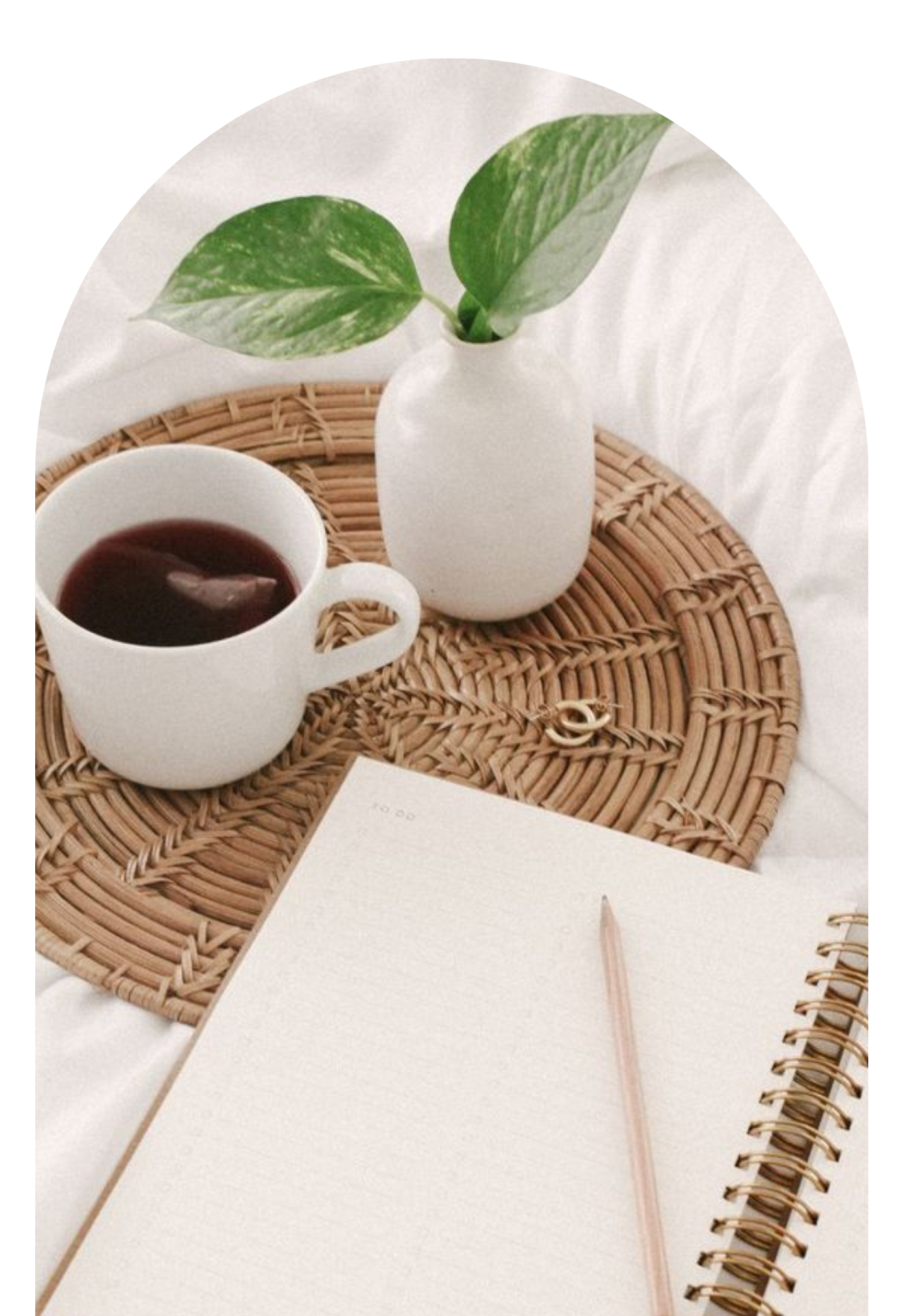 About C.Evans Business Growth Specialist