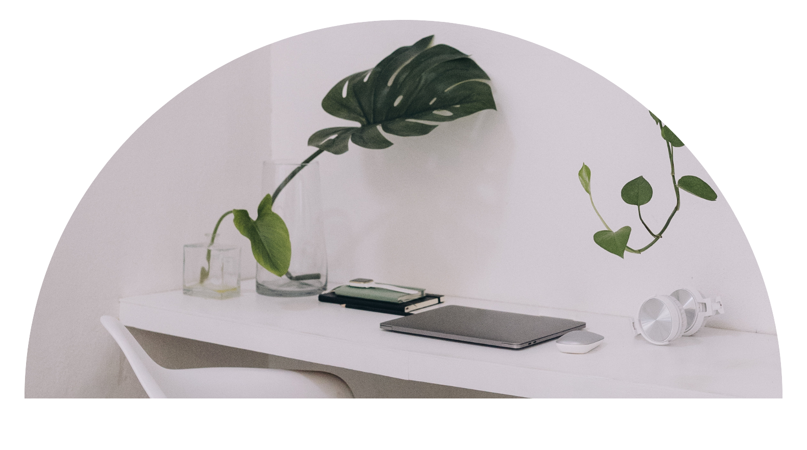 C.Evans Business Growth Specialist