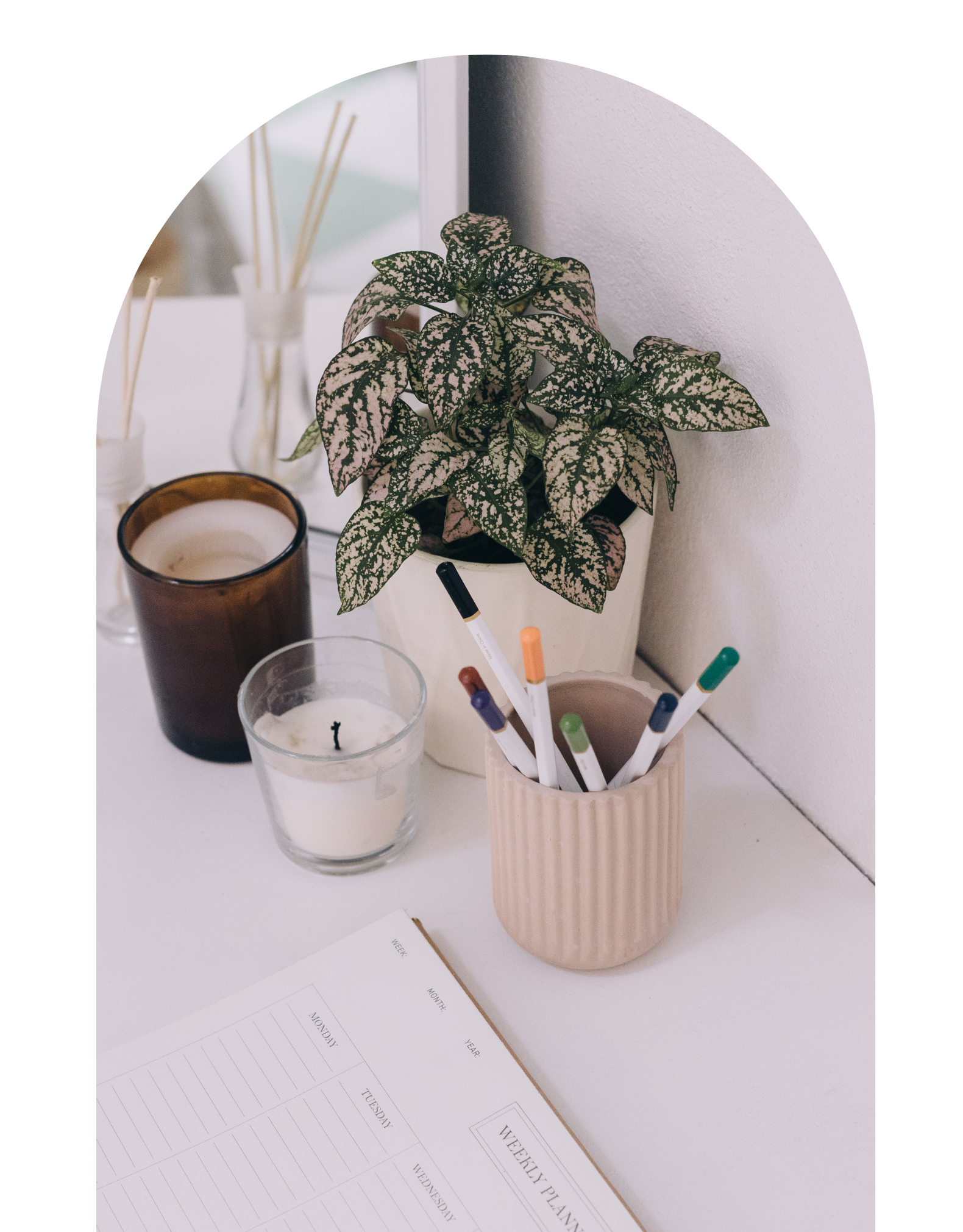C.Evans Business Growth Specialist