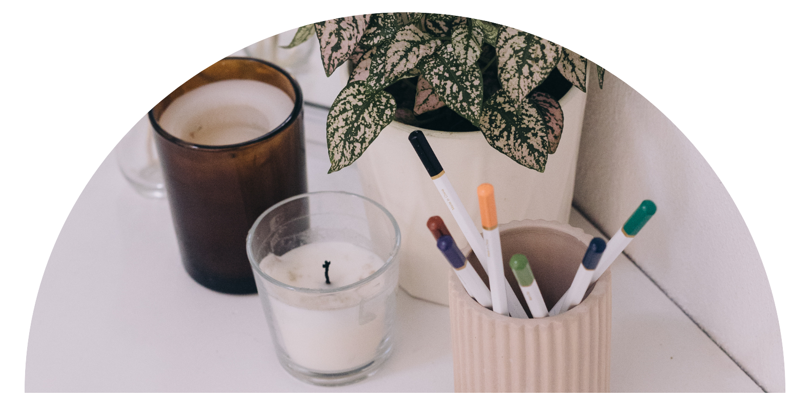 C.Evans Business Growth Specialist