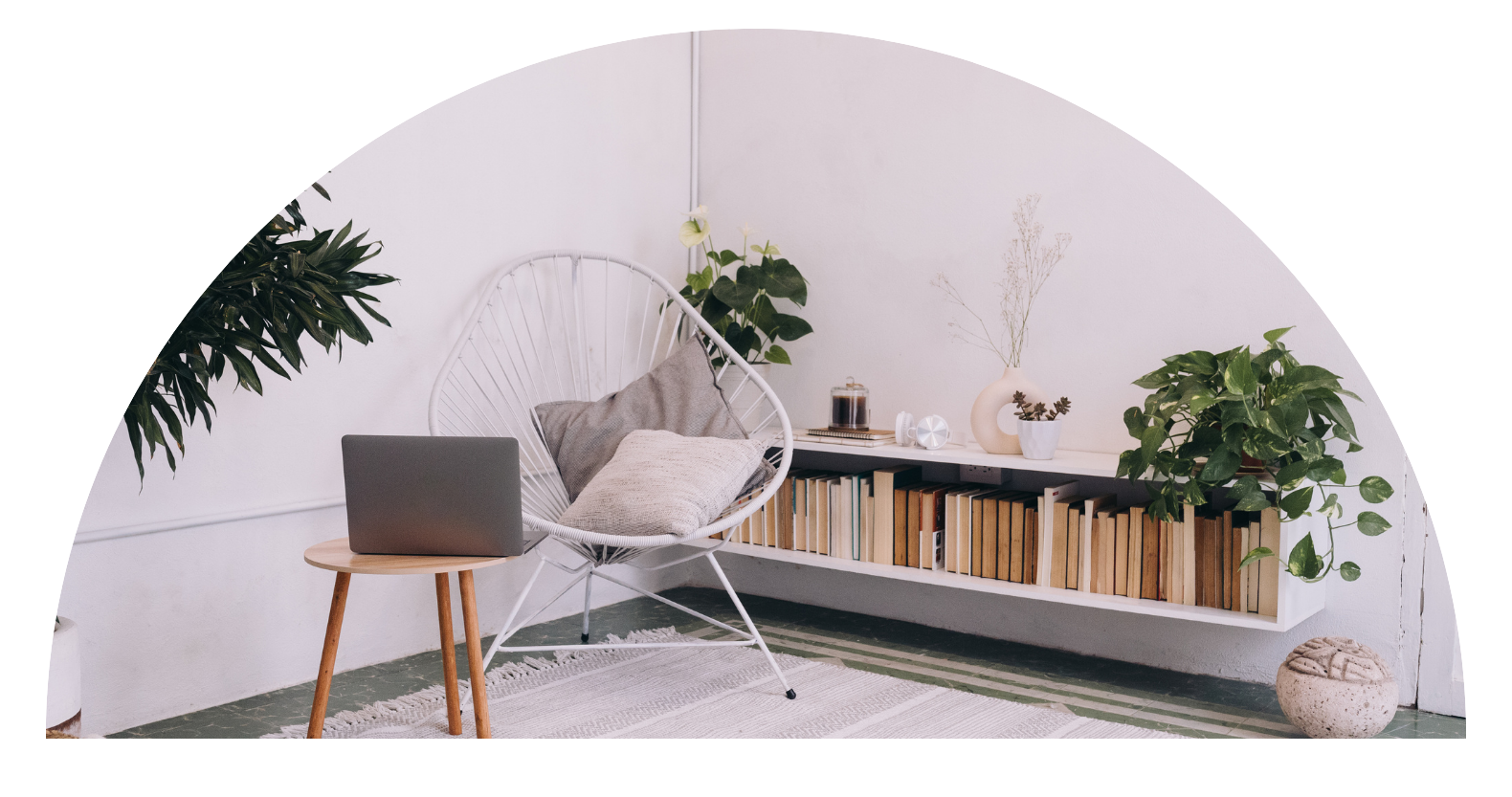 C.Evans Business Growth Specialist