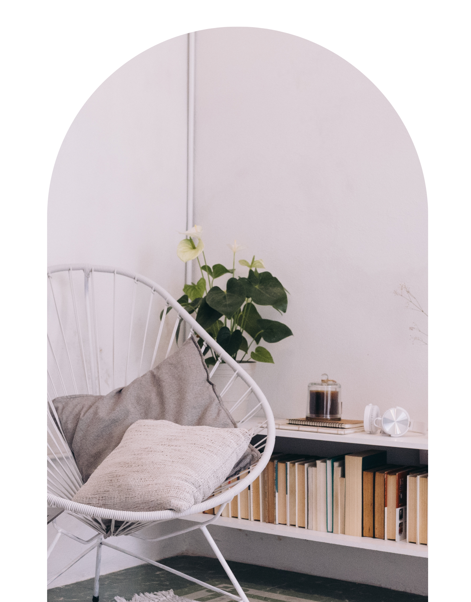 C.Evans Business Growth Specialist