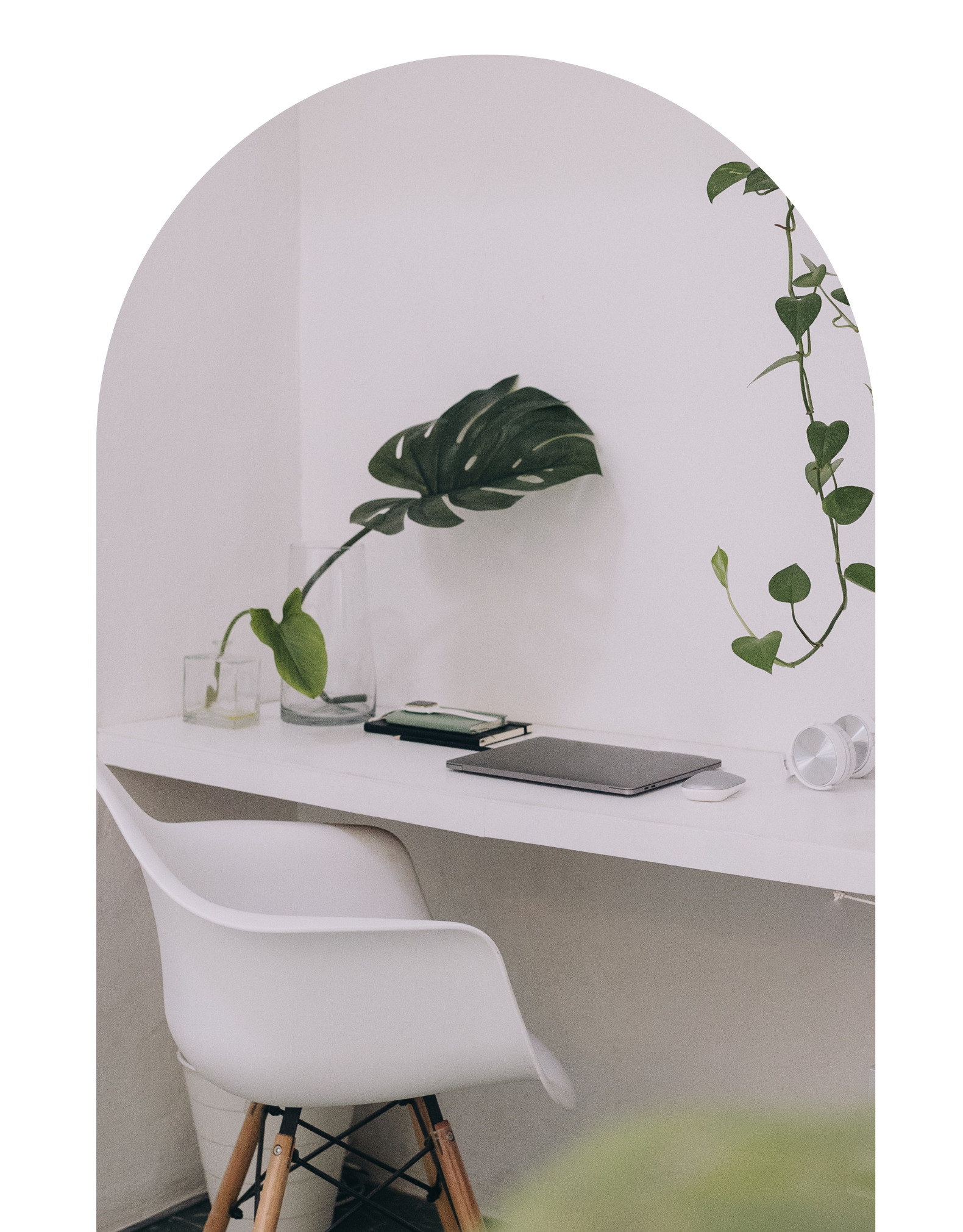 C.Evans Virtual Assistant Marketing Transformation