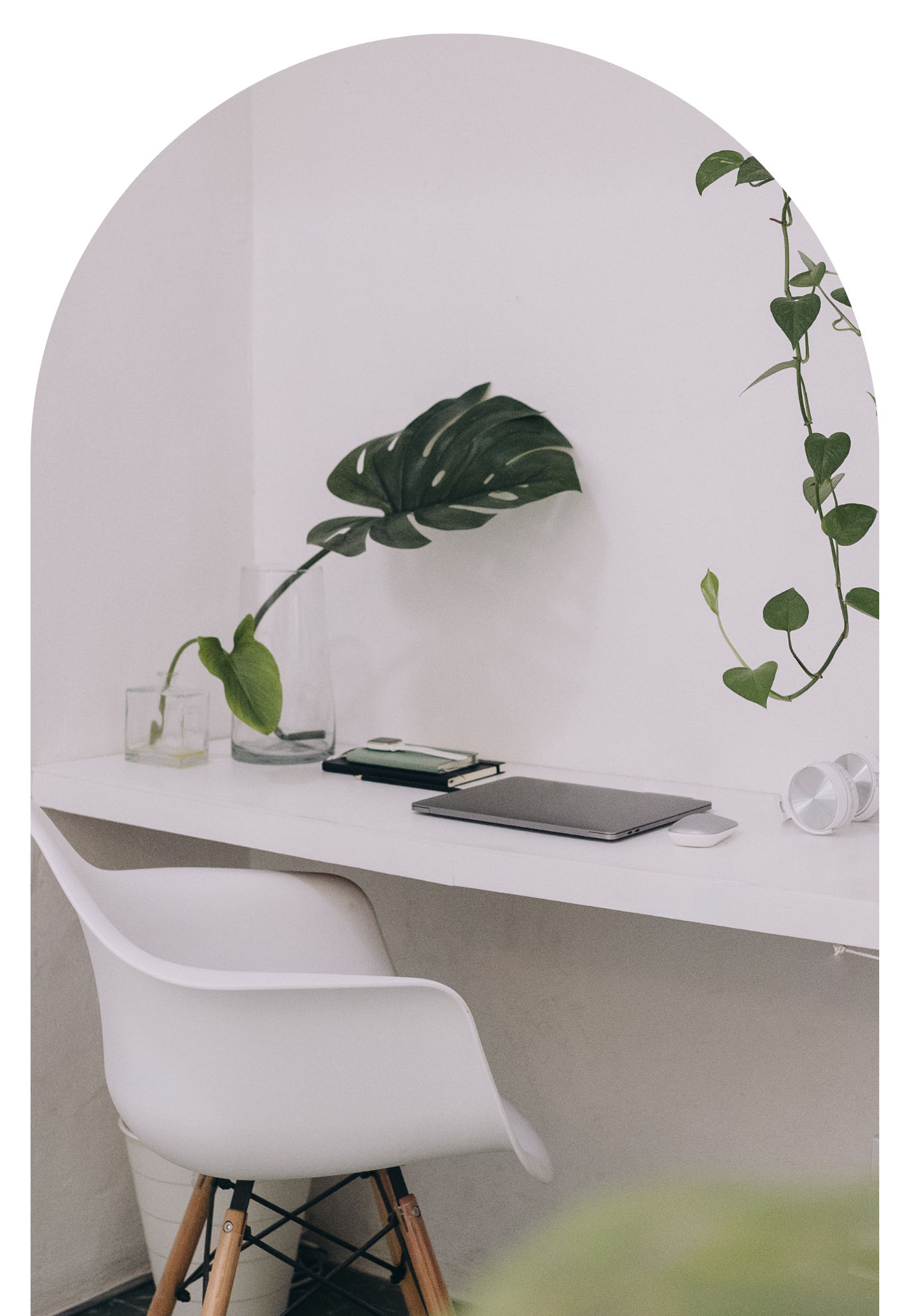 C.Evans Virtual Assistant Marketing Transformation