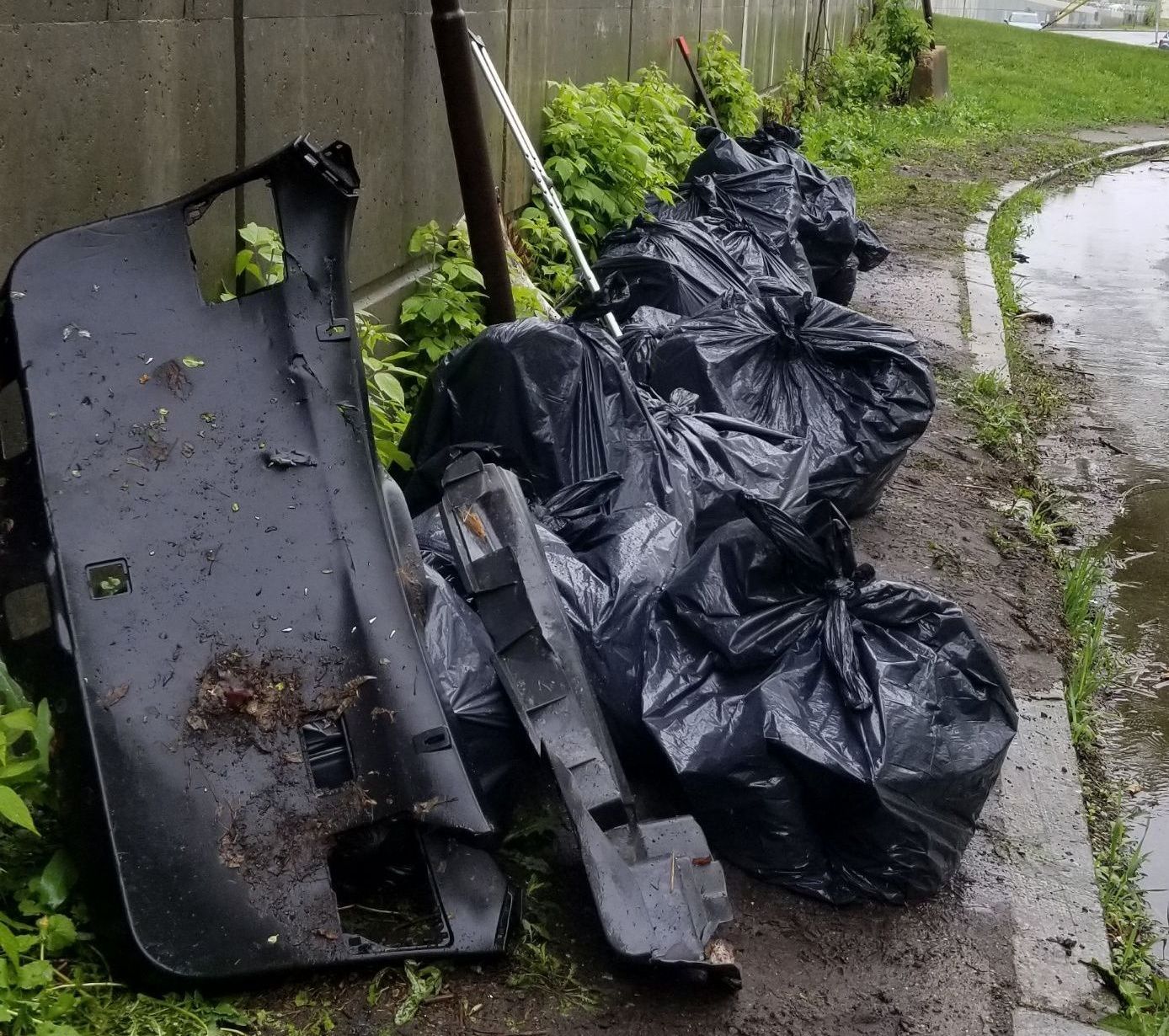 Spring 2025 - Trash removed from 149 West Boylston St.