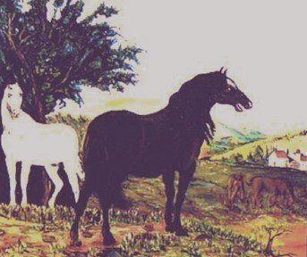 Öl auf Leinen,1998 70cm x 60cm