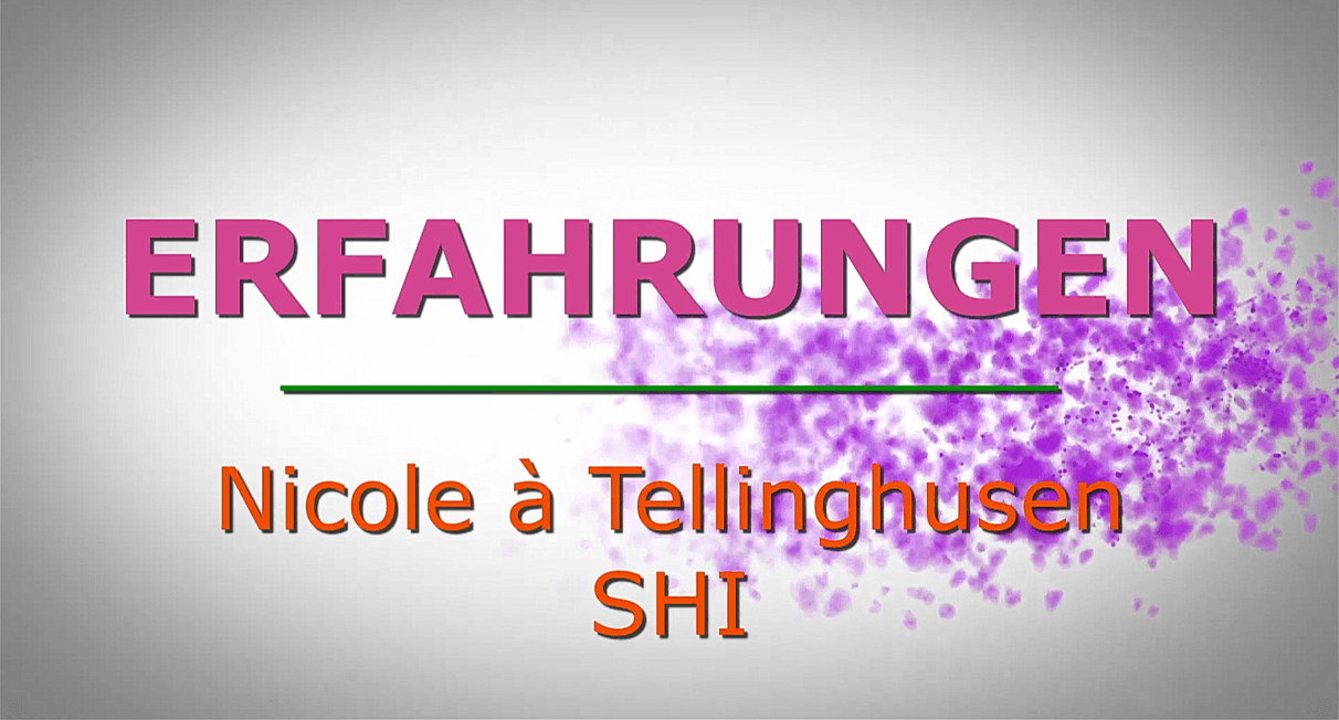 Erfahrungen mit SHT als Seminarteilnehmer und Klient