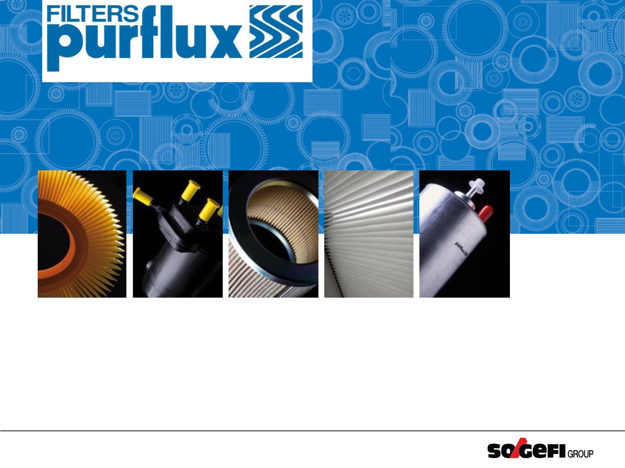 Filtros purflux
Filtro de aceite Purflux
Instalación de filtro Purflux en motor Renault
Gama completa de filtros de aire Purflux para vehículos