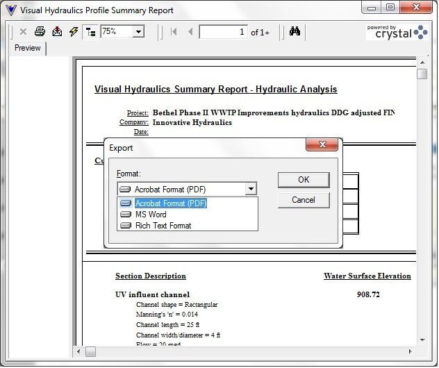 Visual Hydraulics reports sample image Visual Hydraulics software