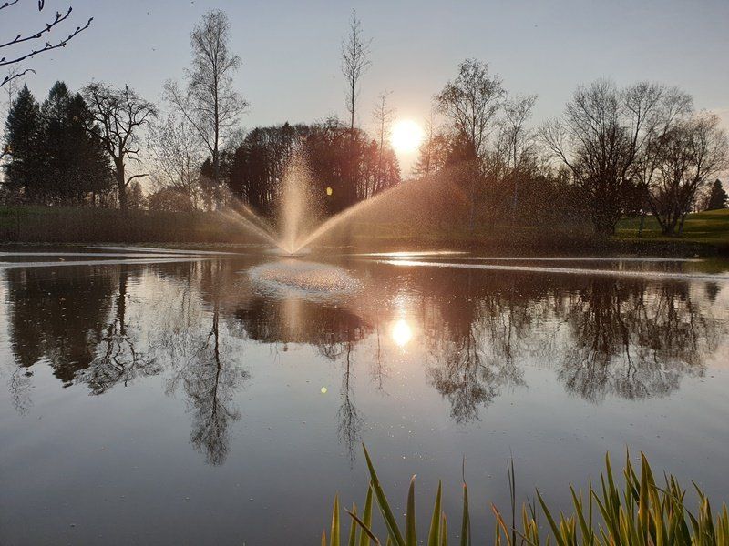 Natur-Resort Bad Waldsee, Artenvielfalt auf dem Golfplatz, Bienen, Bienenvölker, Rote Liste Pflanzen, wilde Orchideen, Smaragdeidechsen, Kreuzottern, Natur-Lehrpfad, Rund-Wanderwege, Kaffee, Restaurant, Vinothek, erlesene Weine, Bar, selbstgebackene Kuchen, Snacks, Mittagstisch, Sonnenterrasse, Gin - Greenkeeper's Cut, Bier vom Fass, kleine Gerichte, Burger, vegetarisch, vegan, Laktose frei, Gluten frei, Café-Restaurant Ausblick T-19, Restaurant im Hofgut