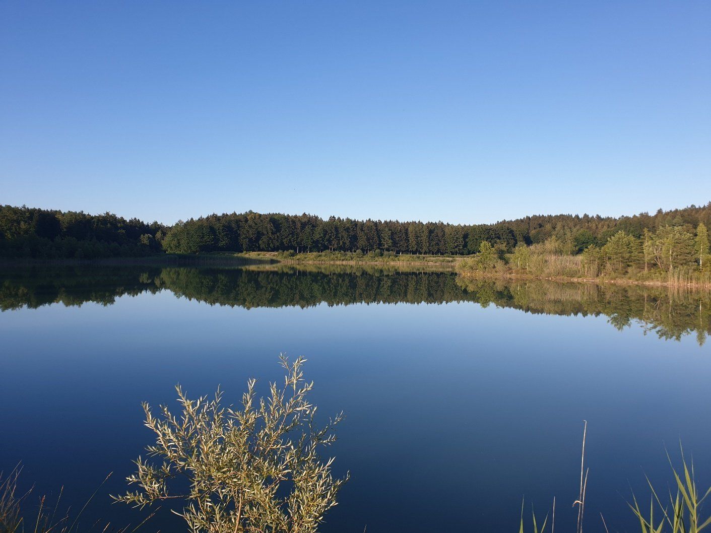 Sportpark Bad Waldsee, Bogenschiessen, Golf, Wandern, Radwandern, Nordic Walking, Mountainbiken, Cross-Skating, Loipe, Fahrradverleih, Natur-Lehrpfad, Rund-Wanderwege, Kaffee, Restaurant, Vinothek, erlesene Weine, Bar, selbstgebackene Kuchen, Snacks, Mittagstisch, Sonnenterrasse, Gin - Greenkeeper's Cut, Bier vom Fass, kleine Gerichte, Burger, vegetarisch, vegan, Laktose frei, Gluten frei, Café-Restaurant Ausblick T-19, Restaurant im Hofgut