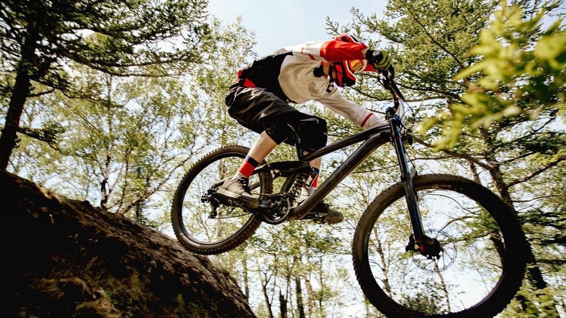 Bogenschiess Outdoor und Indoor Anlage Bad Waldsee, Wandern, Cross-Skating, Mountainbiken, Saubadtrail, Wintergolfen, Nachtgolf, Radwandern, r Oberschwaben, Allgäu, günstige Tarife, Ausblick-T19, Restaurant im Hofgut, Sonnenterrasse, Kamin, Gourmet, Fürstlich, Spezialitäten Restaurant, Kurzurlaub, Sportpark, Natur-Resort, Bodensee, tolle Events, Schnitzeljagd, Wildkräuter, Wildtiere, Rote Liste Pflanzen, Naturlehrpfad, Waldsofa