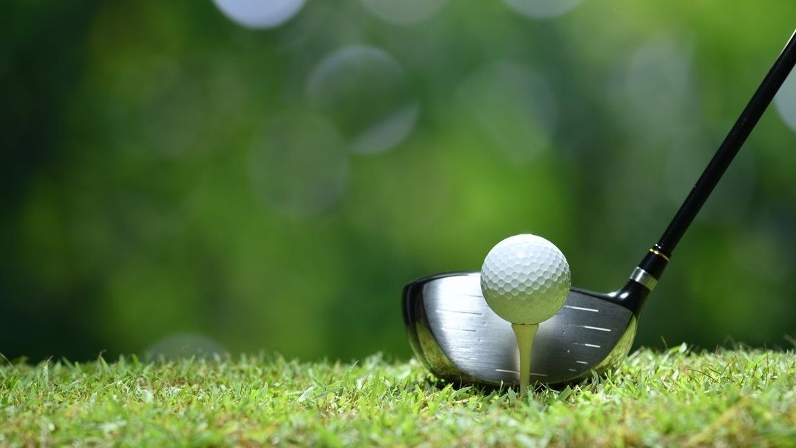 Bogenschiess Outdoor und Indoor Anlage Bad Waldsee, Wandern, Cross-Skating, Mountainbiken, Saubadtrail, Wintergolfen, Nachtgolf, Radwandern, r Oberschwaben, Allgäu, günstige Tarife, Ausblick-T19, Restaurant im Hofgut, Sonnenterrasse, Kamin, Gourmet, Fürstlich, Spezialitäten Restaurant, Kurzurlaub, Sportpark, Natur-Resort, Bodensee, tolle Events, Schnitzeljagd, Wildkräuter, Wildtiere, Rote Liste Pflanzen, Naturlehrpfad, Waldsofa