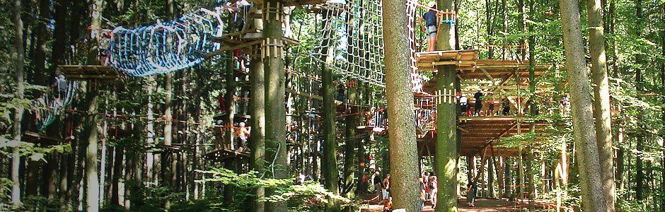 Sportpark Bad Waldsee, Bogenschiessen, Golf, Wandern, Radwandern, Nordic Walking, Mountainbiken, Cross-Skating, Loipe, Fahrradverleih, Natur-Lehrpfad, Rund-Wanderwege, Kaffee, Restaurant, Vinothek, erlesene Weine, Bar, selbstgebackene Kuchen, Snacks, Mittagstisch, Sonnenterrasse, Gin - Greenkeeper's Cut, Bier vom Fass, kleine Gerichte, Burger, vegetarisch, vegan, Laktose frei, Gluten frei, Café-Restaurant Ausblick T-19, Restaurant im Hofgut