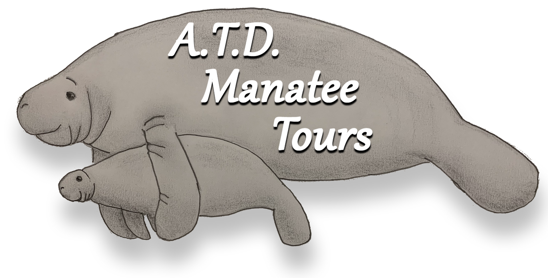 Snorkel With Manatees FL