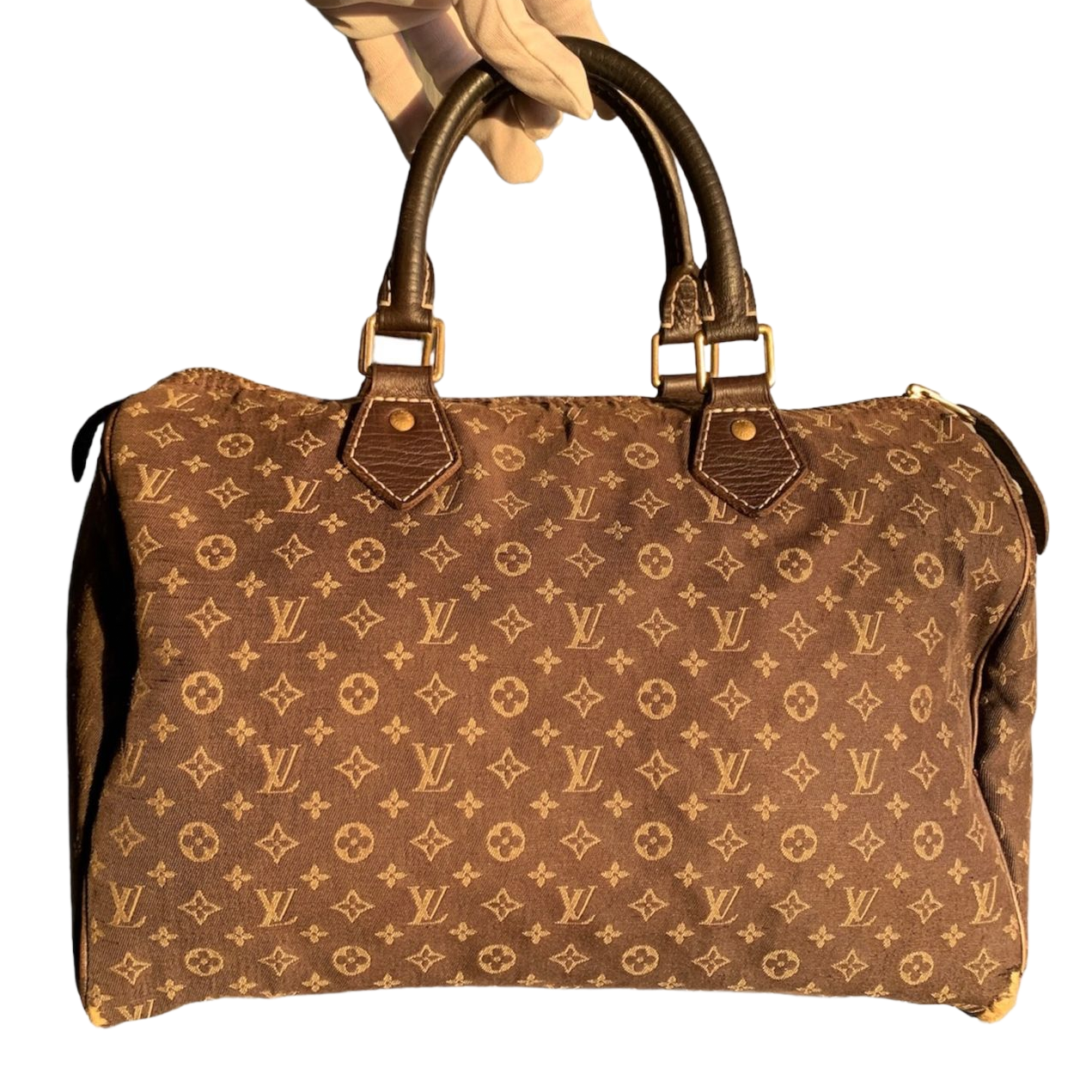 Louis Vuitton Speedy Mini Lin