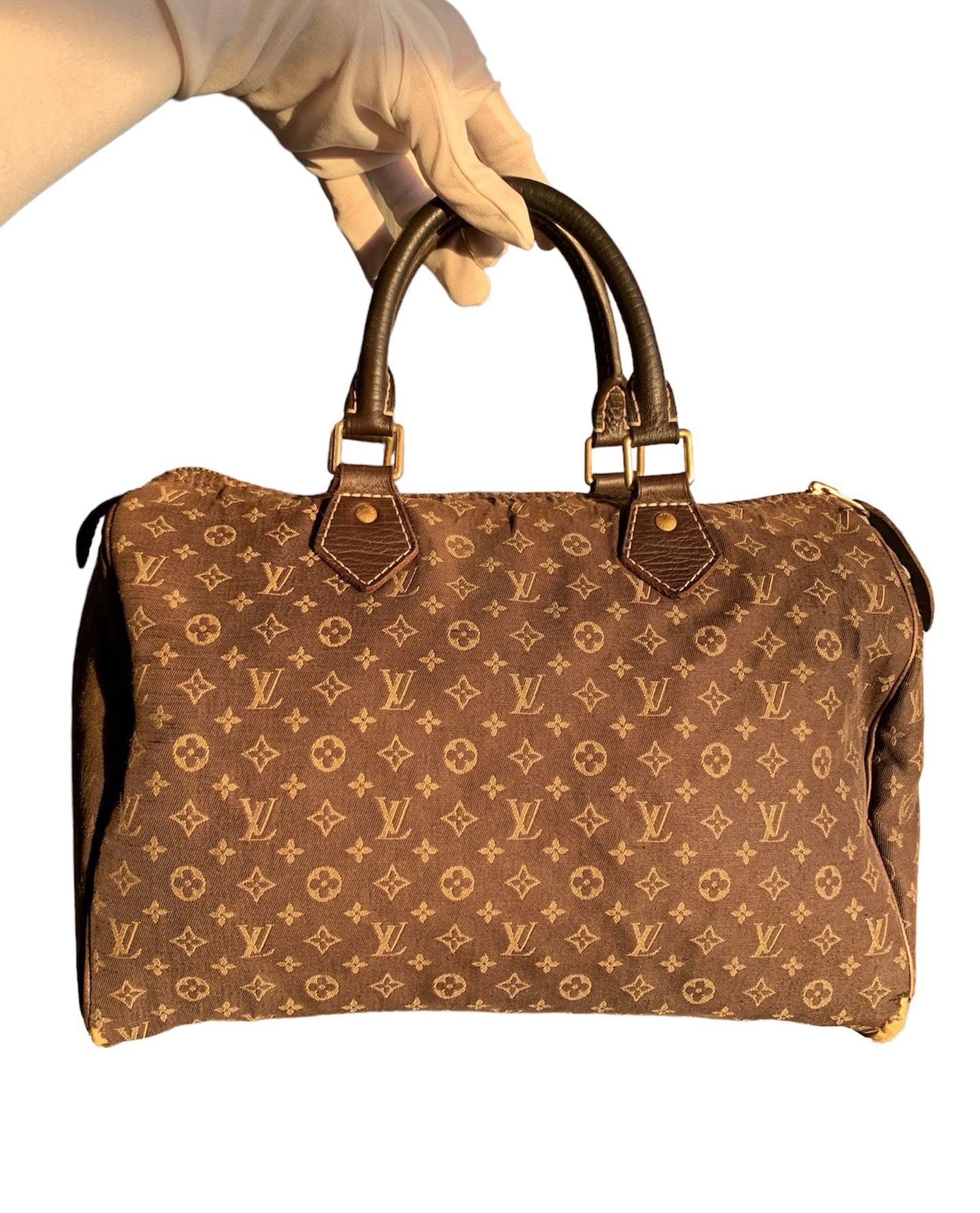 Louis Vuitton Mini Lin Speedy