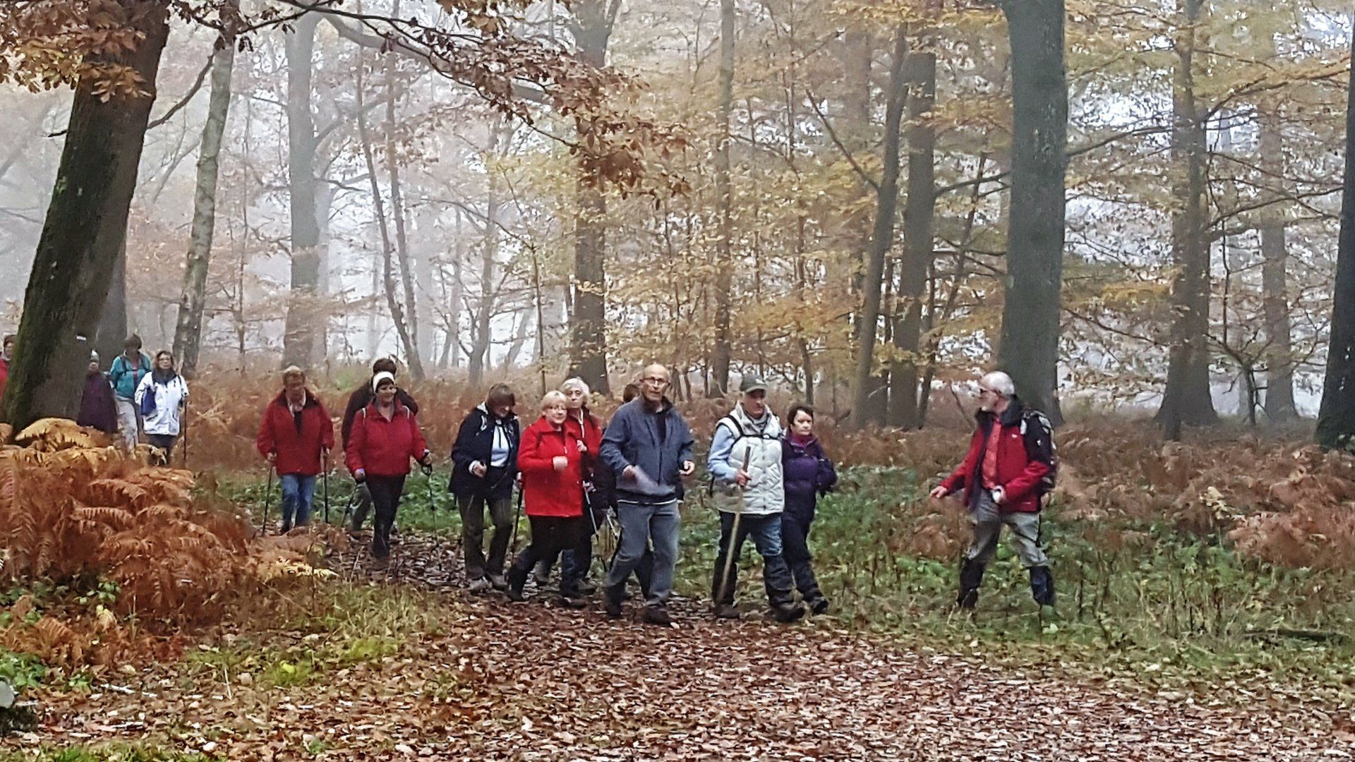 Randonnée en forêt Randonnée en forêt