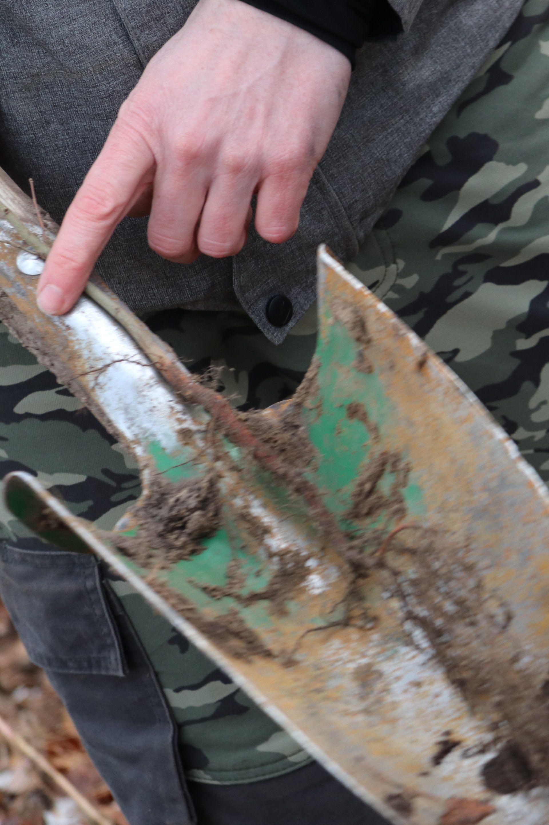 Bild Projekt Klimawald e.V.