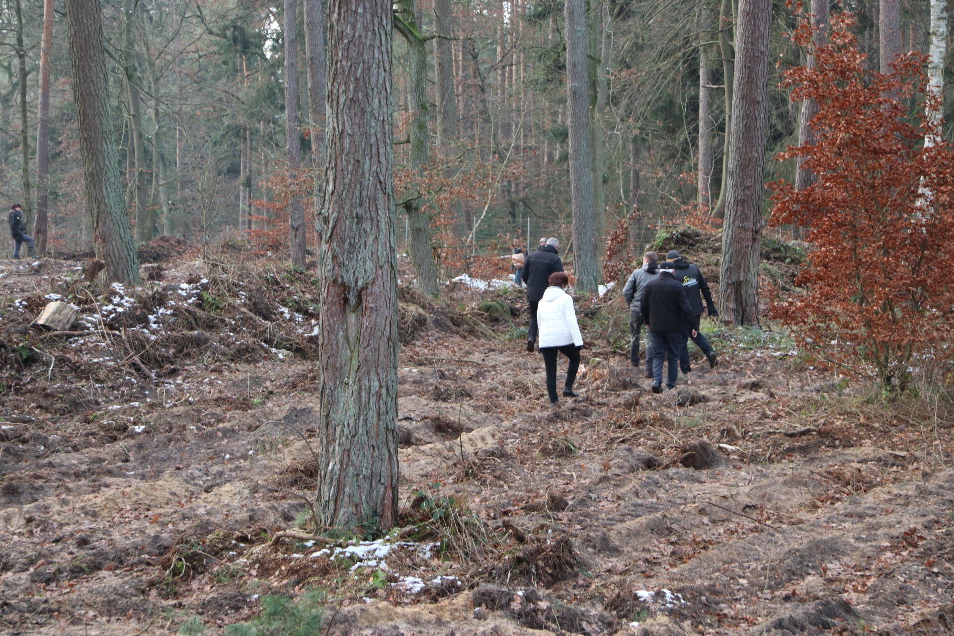 Bild Projekt Klimawald e.V.