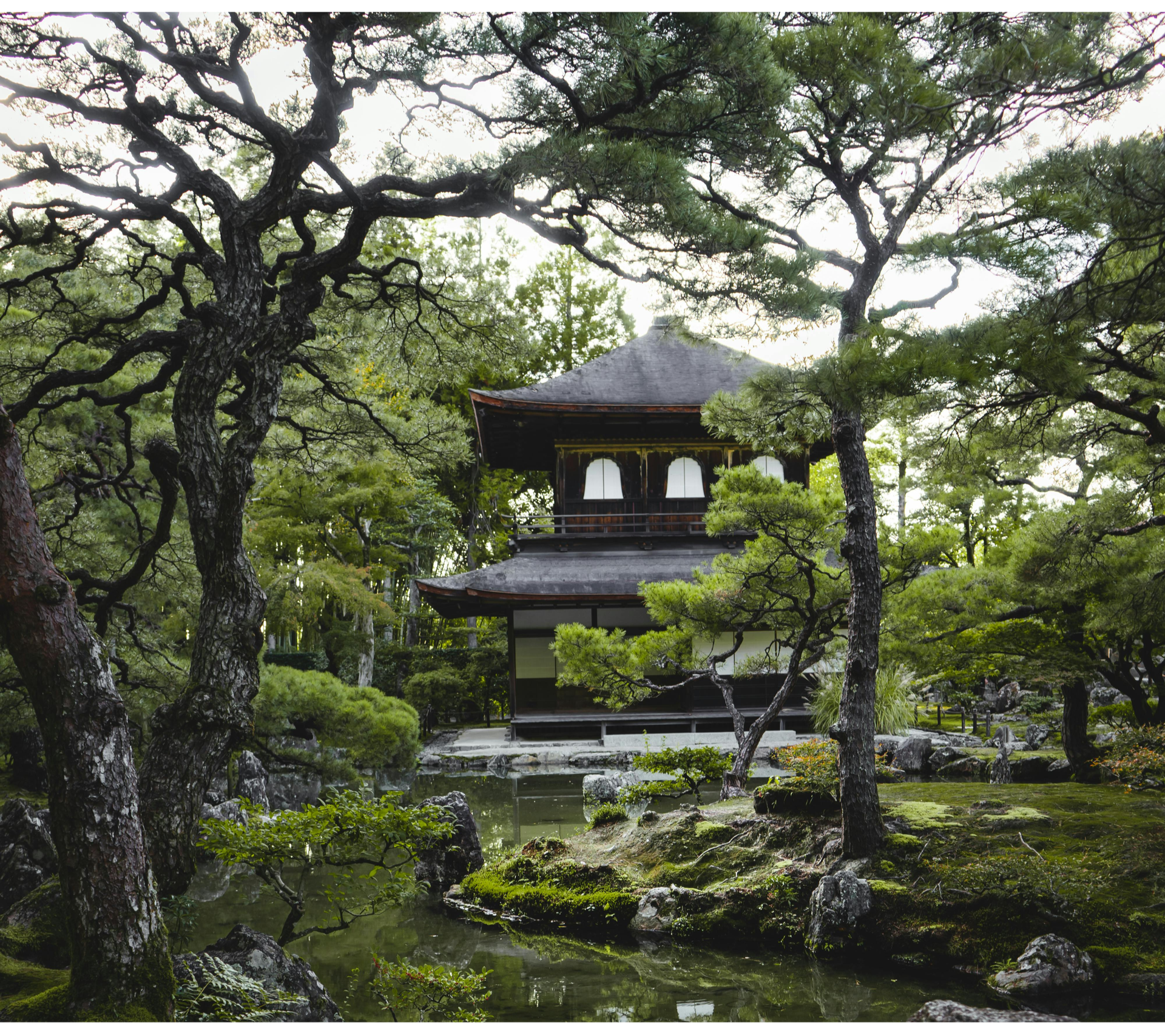 Japanese temple in the forest