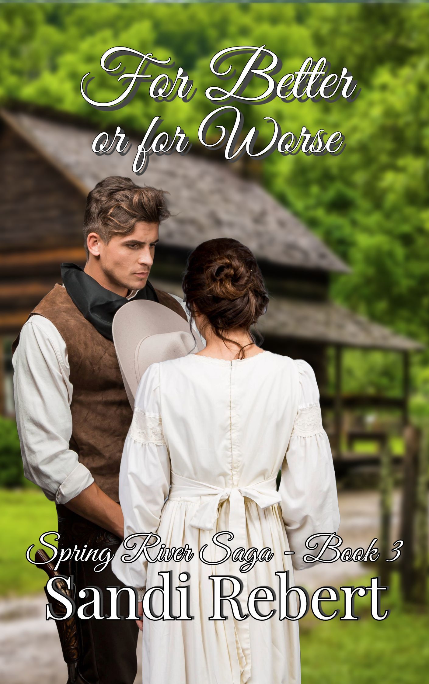 Book Cover for In Darkness and in Light