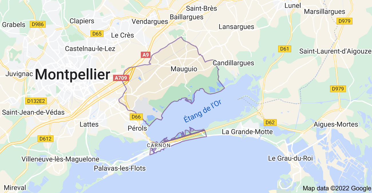 Carte ville de Mauguio et ses environs