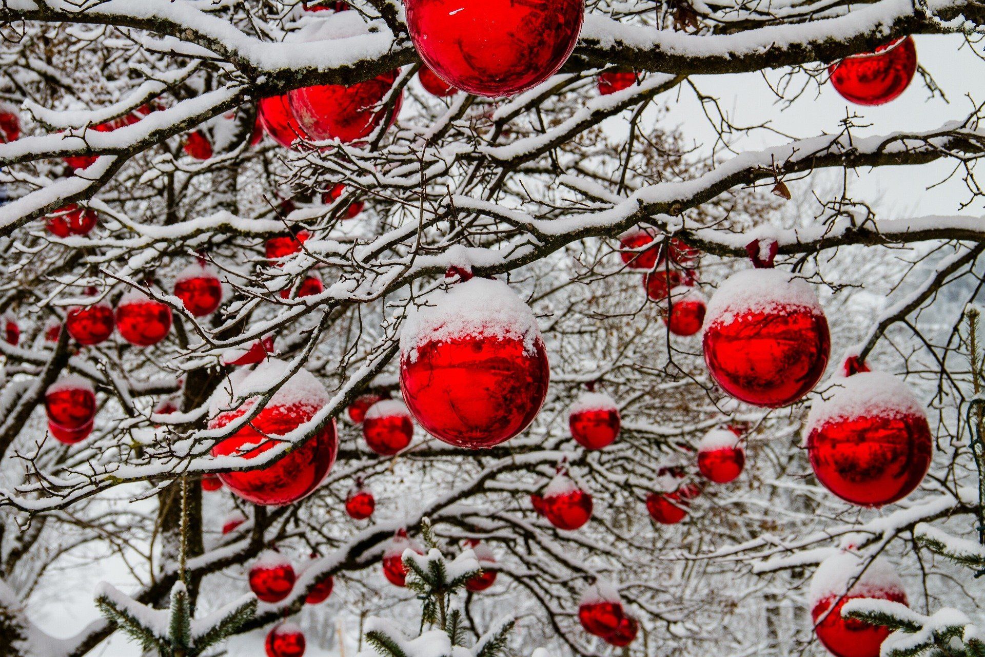 Christbaumkugeln im Schnee