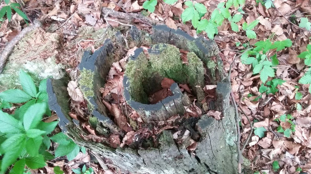 Baden, Bad Vöslau, Bad Fischau, Wr. Neustadt, Maria Enzersdorf, Hirtenberg, Berndorf, Mödling