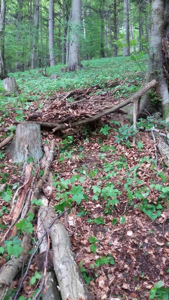 Baden, Bad Vöslau, Bad Fischau, Wr. Neustadt, Maria Enzersdorf, Hirtenberg, Berndorf, Mödling