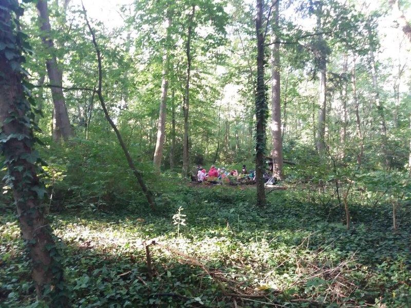 Waldpädagogische Führung Mödling