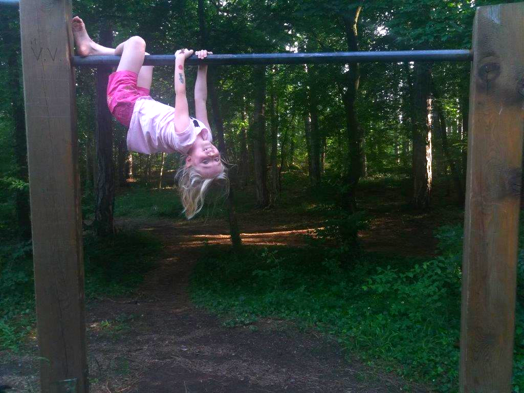 Geburtstag Wr Neustadt