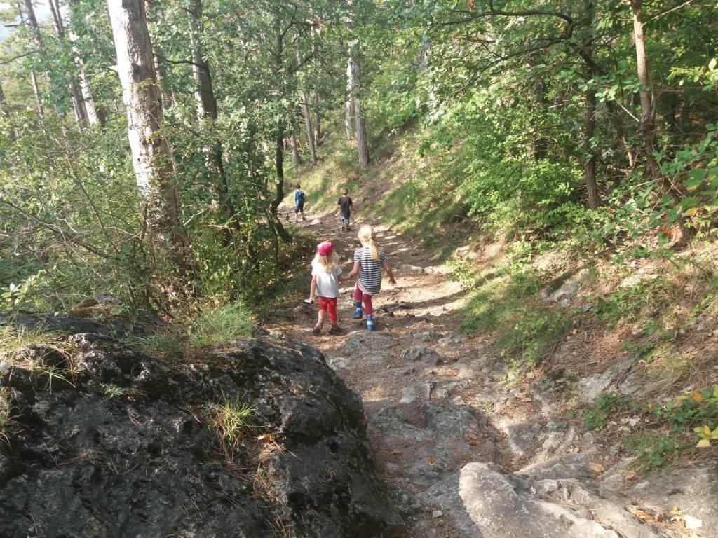 Waldpädagogik Baden bei Wien